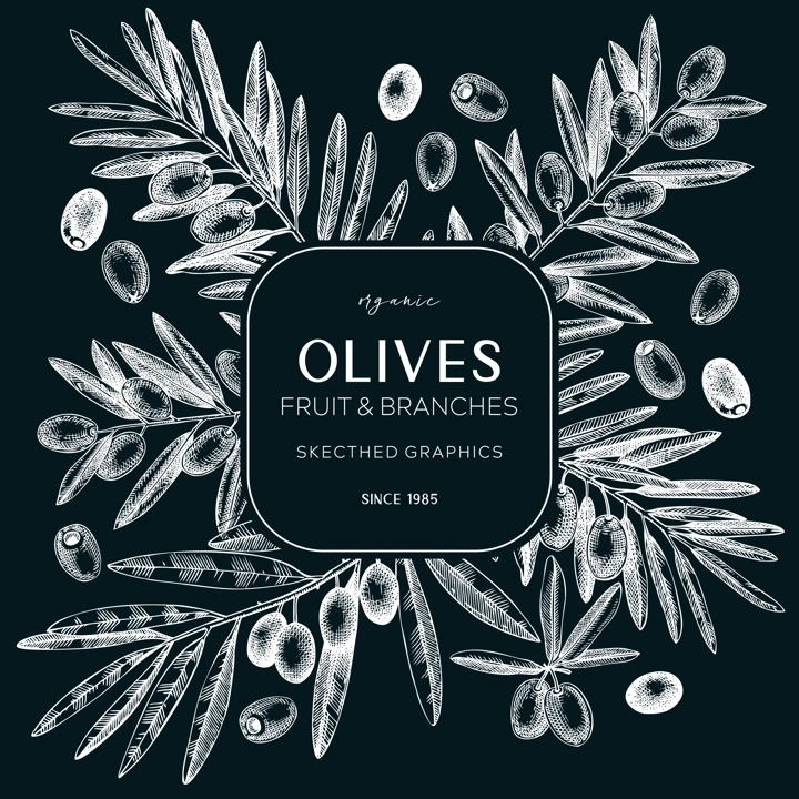 Olives wreath design. Olive tree branches sketches. Mediterranean food menu template on chalkboard. Hand-drawn vector illustration. NOT AI generated.